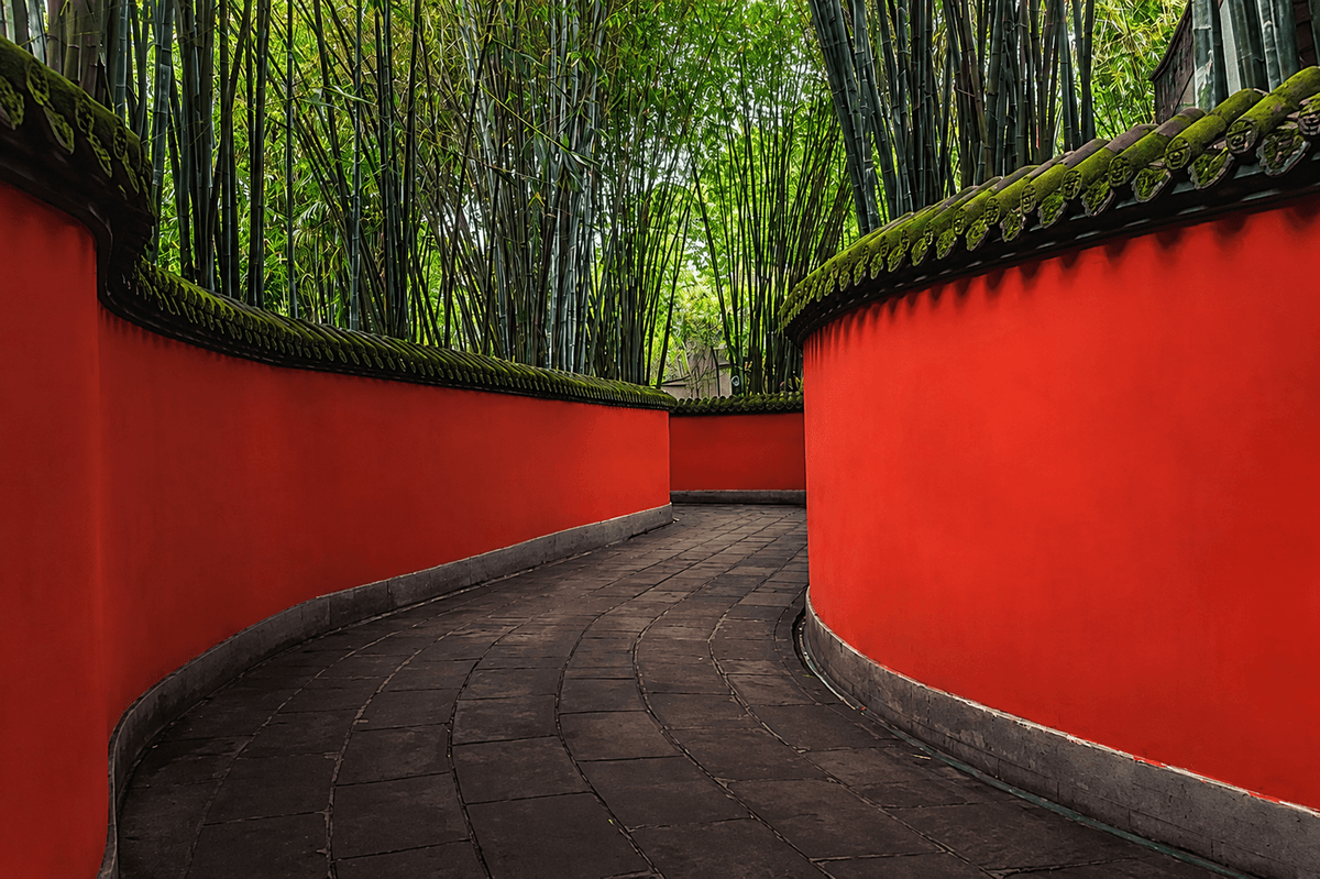 Chengdu photograph 10